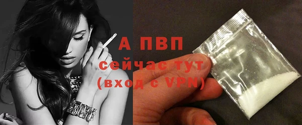 стафф Белокуриха