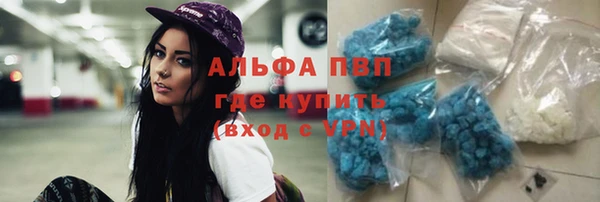 стафф Белокуриха